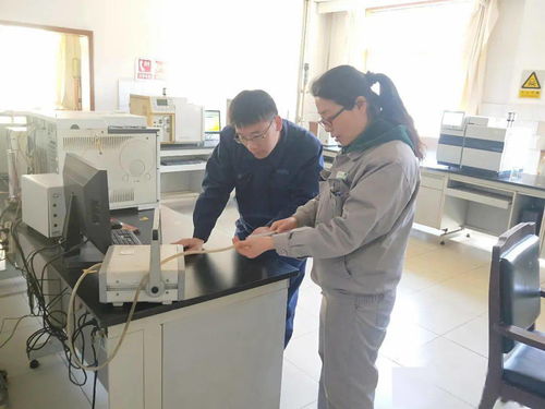 千里保試車 巾幗競風(fēng)流 記公司最美女工 義馬氣化廠外派技術(shù)服務(wù)人員 王輝